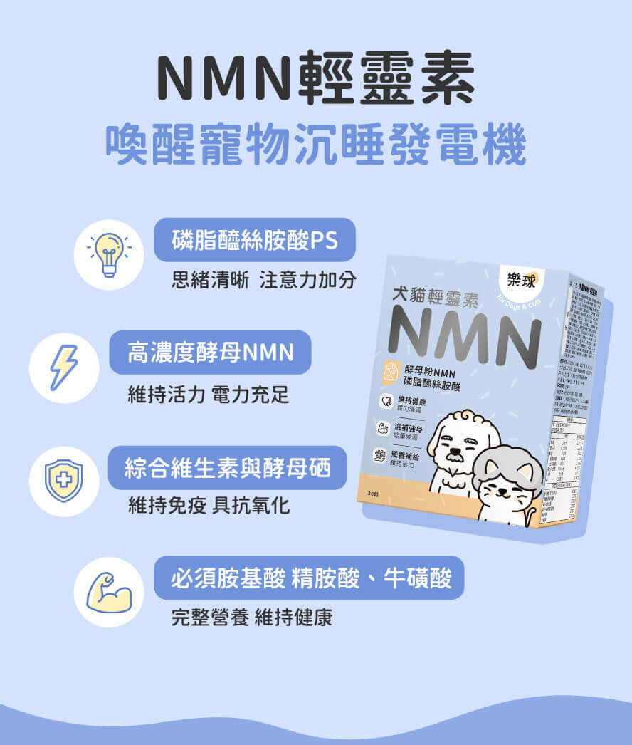 貓咪皮毛保健三重奏:爆毛、護膚、鞏固屏障。